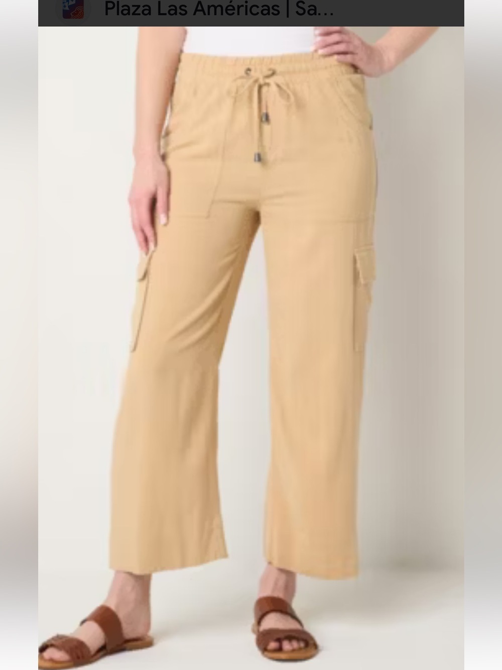 Frye and Co beige drawstring-waist cargo Pants size XXL NWT